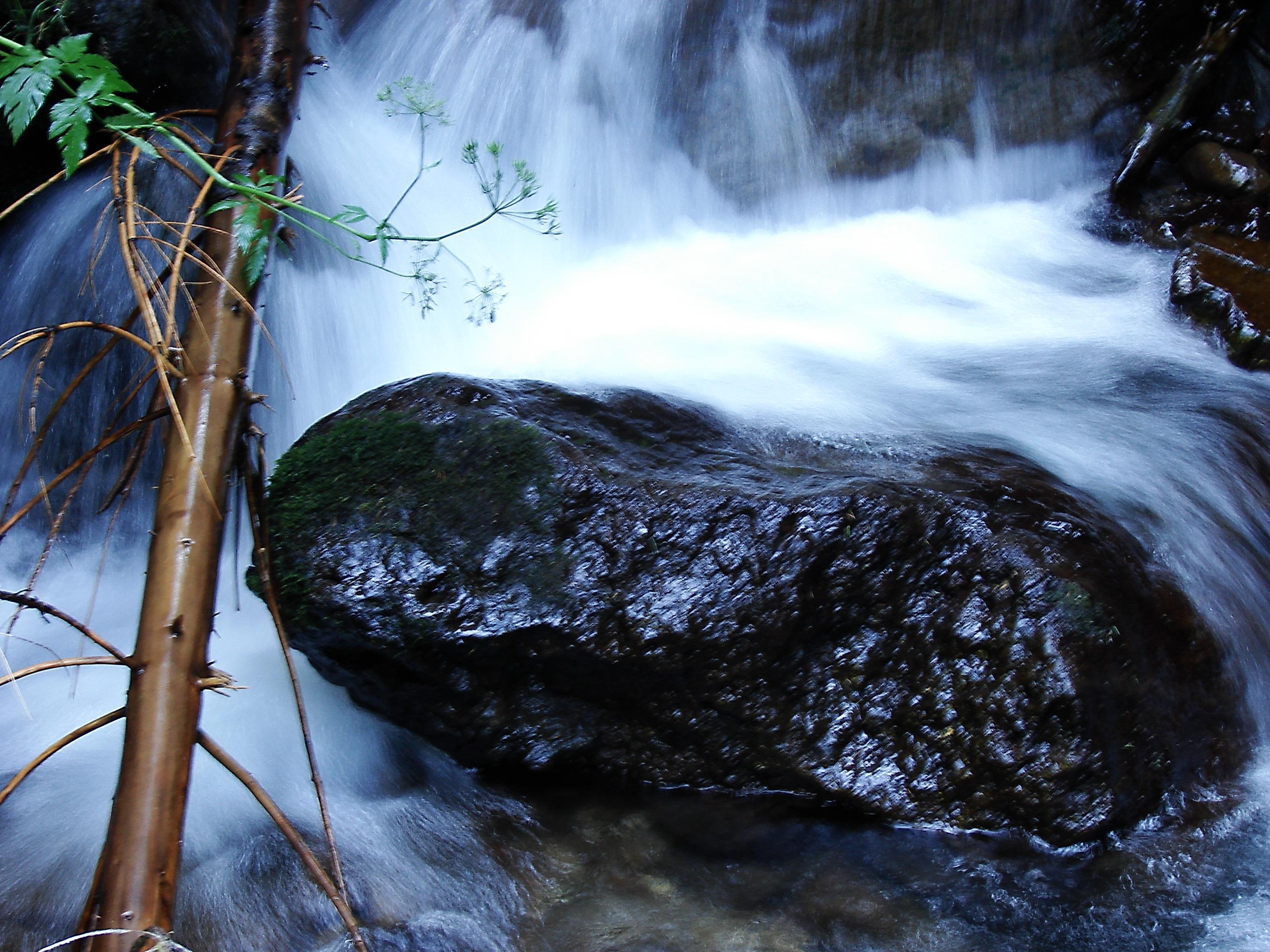 pescuit - DSC05564a.jpg